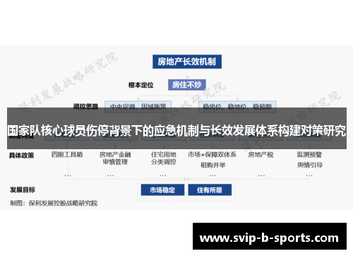 国家队核心球员伤停背景下的应急机制与长效发展体系构建对策研究 国家队核心球员伤停背景下的应急机制与长效发展体系构建对策研究