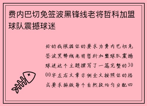 费内巴切免签波黑锋线老将哲科加盟球队震撼球迷