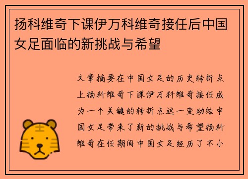 扬科维奇下课伊万科维奇接任后中国女足面临的新挑战与希望